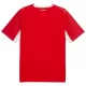 Maillot Suisse Homme Domicile Coupe du Monde 2026