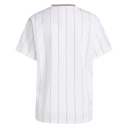 Maillot Aston Villa Terrace Icons Homme 2025-26