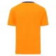 Maillot Cardiff City Homme Third 2025-26