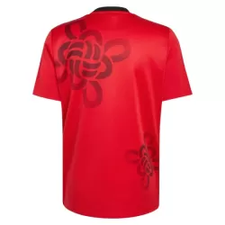 Maillot Manchester United Chinese Lucky Knot Homme 2026