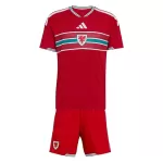 Maillot Pays de Galles Enfant Domicile Coupe du Monde 2026