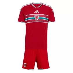 Maillot Pays de Galles Enfant Domicile Coupe du Monde 2026