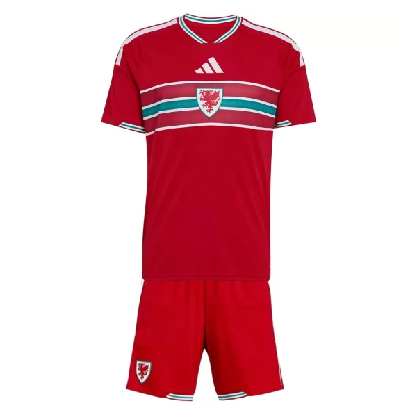 Maillot Pays de Galles Enfant Domicile Coupe du Monde 2026