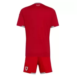 Maillot Pays de Galles Enfant Domicile Coupe du Monde 2026