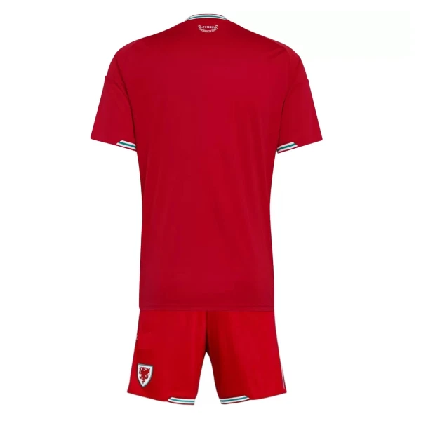 Maillot Pays de Galles Enfant Domicile Coupe du Monde 2026
