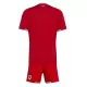 Maillot Pays de Galles Enfant Domicile Coupe du Monde 2026
