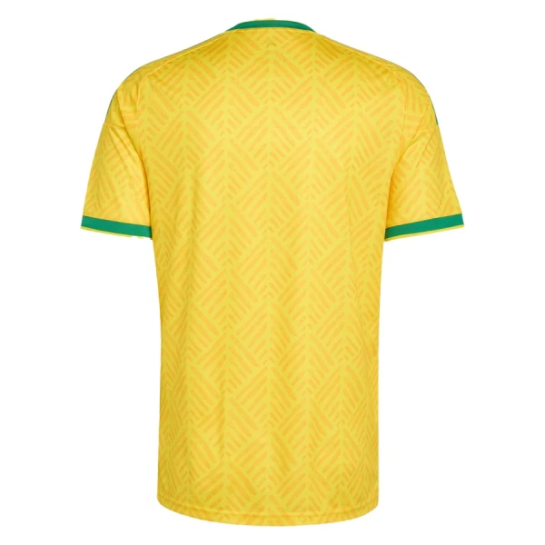 Maillot Afrique du Sud Homme Domicile Coupe du Monde 2026
