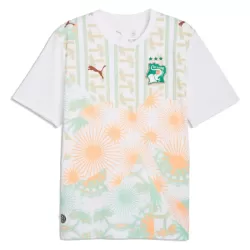 Maillot Côte d Ivoire Homme Extérieur Coupe du Monde 2026
