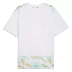 Maillot Côte d Ivoire Homme Extérieur Coupe du Monde 2026