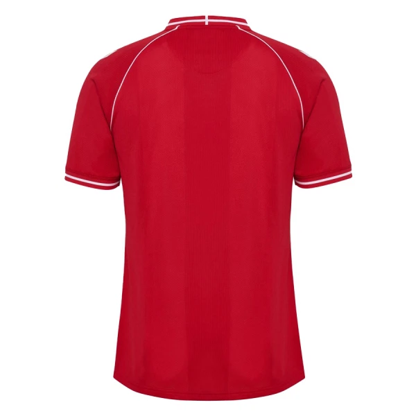 Maillot Danemark Homme Domicile Coupe du Monde 2026
