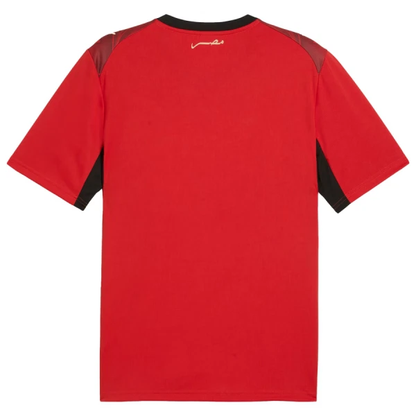 Maillot Égypte Homme Domicile Coupe du Monde 2026