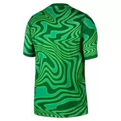 Maillot Gardien Brésil Homme Domicile Coupe du Monde 2026 Verte