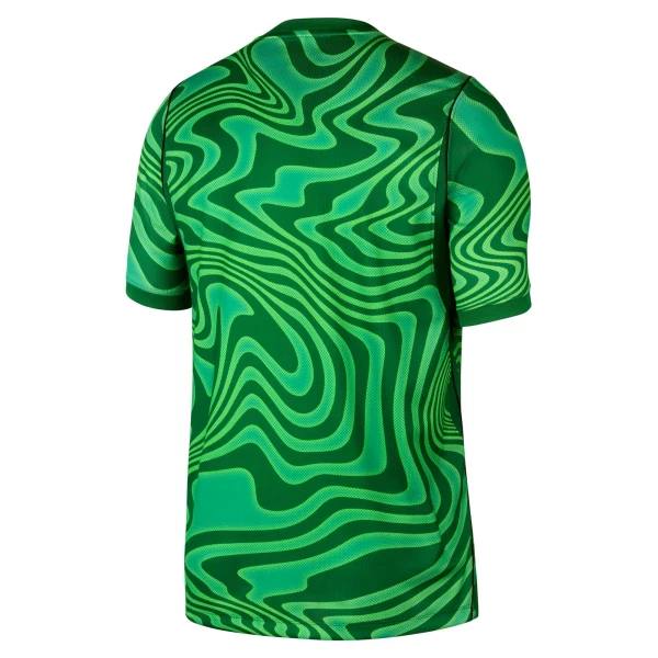 Maillot Gardien Brésil Homme Domicile Coupe du Monde 2026 Verte