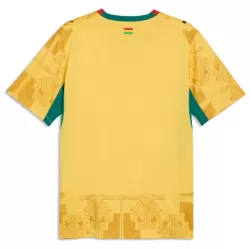 Maillot Ghana Homme Extérieur Coupe du Monde 2026