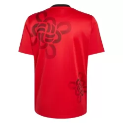 Maillot Manchester United Cultural Story Homme 2025-26