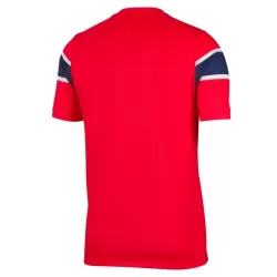 Maillot Norvège Homme Domicile Coupe du Monde 2026