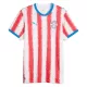 Maillot Paraguay Homme Domicile Coupe du Monde 2026