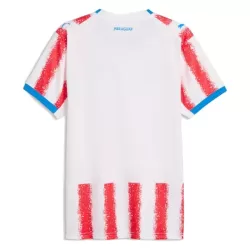 Maillot Paraguay Homme Domicile Coupe du Monde 2026