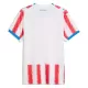 Maillot Paraguay Homme Domicile Coupe du Monde 2026