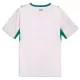 Maillot Sénégal Homme Domicile Coupe du Monde 2026