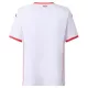 Maillot Tunisie Homme Extérieur Coupe du Monde 2026