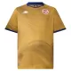 Maillot Tunisie Homme Third Coupe du Monde 2026