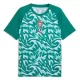 Maillot Portugal Pre-Match Homme Coupe du Monde 2026 Verte
