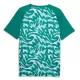 Maillot Portugal Pre-Match Homme Coupe du Monde 2026 Verte