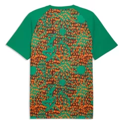 Maillot Côte d Ivoire Pre-Match Homme Coupe du Monde 2026