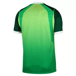 Maillot Nigéria Homme Domicile 2026-27
