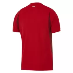 Maillot Turquie Homme Domicile Coupe du Monde 2026