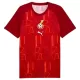 Maillot Ghana Pre-Match Homme Coupe du Monde 2026