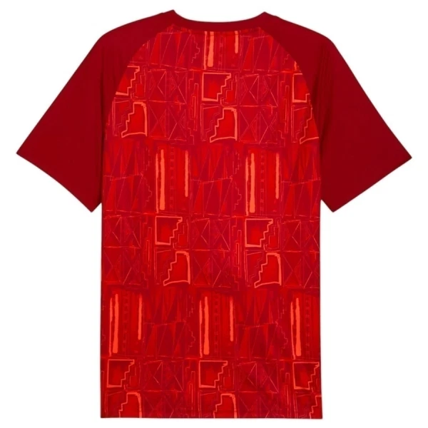 Maillot Ghana Pre-Match Homme Coupe du Monde 2026