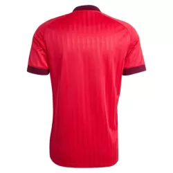 Maillot Olympique Lyonnais Homme Extérieur 2026-27