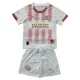 Maillot PSV Eindhoven Enfant Fourth 2025-26
