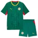 Maillot Sénégal Enfant Extérieur Coupe du Monde 2026