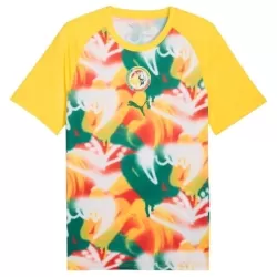 Maillot Sénégal Pre-Match Homme Coupe du Monde 2026