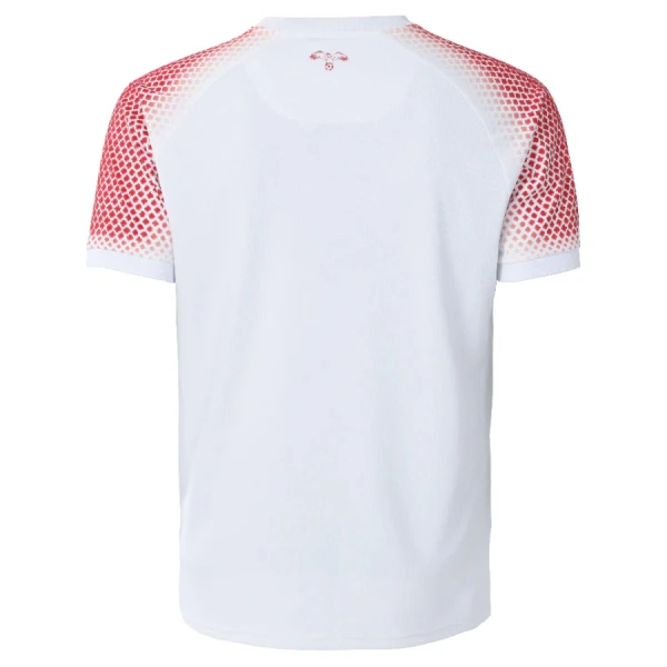 Maillot Homme Domicile Jordan Coupe du Monde 2026