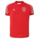 Maillot Homme Extérieur Jordan Coupe du Monde 2026