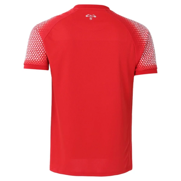 Maillot Homme Extérieur Jordan Coupe du Monde 2026
