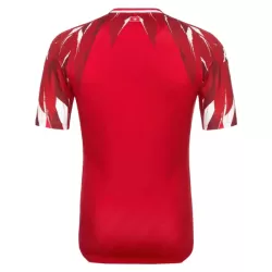Maillot Tunisie Homme Extérieur Coupe du Monde 2026