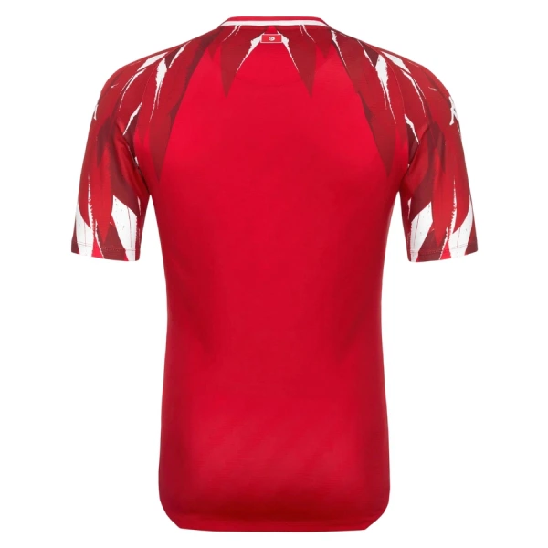 Maillot Tunisie Homme Extérieur Coupe du Monde 2026
