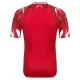 Maillot Tunisie Homme Extérieur Coupe du Monde 2026