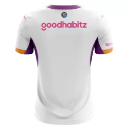 Maillot PSV Eindhoven Homme Extérieur 2026-27