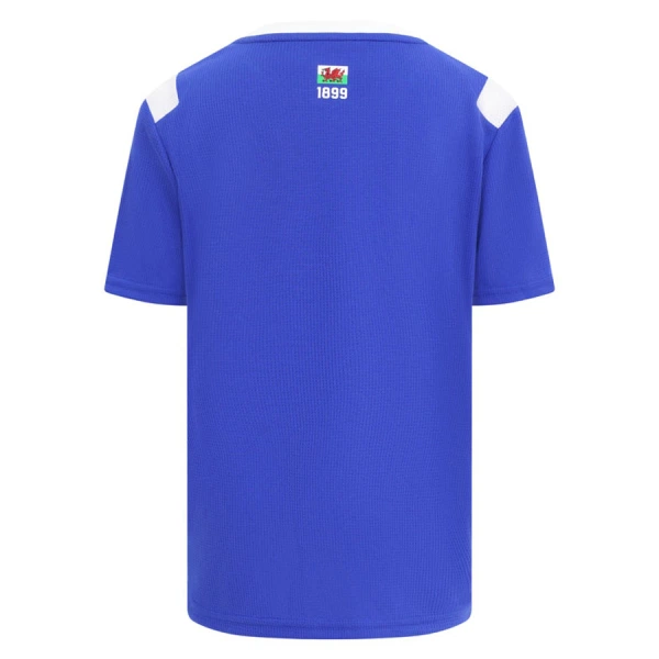 Maillot Cardiff City Homme Domicile 2026-27