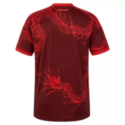 Maillot Internacional Homme Third 2026-27