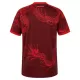 Maillot Internacional Homme Third 2026-27