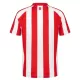 Maillot Sunderland Homme Domicile 2026-27