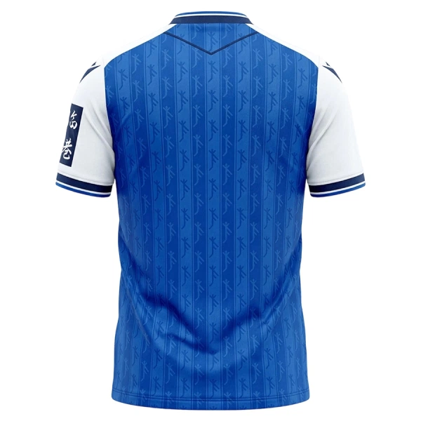 Maillot TSG 1899 Hoffenheim Homme Domicile 2026-27