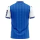 Maillot TSG 1899 Hoffenheim Homme Domicile 2026-27